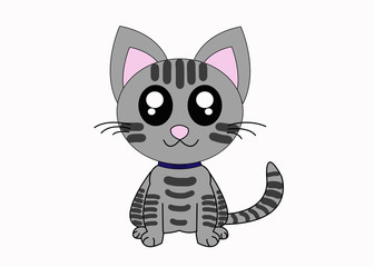 The cat sit in the white screen background.