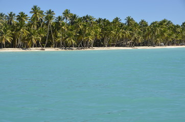 Rajska plaża - Saona, Dominikana - obrazy, fototapety, plakaty