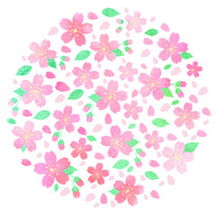 水彩風　桜
