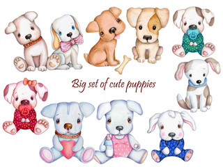 Set collection clipart of cute pups, hand drawn, isolated on white. Dogs abd puppies for kids.