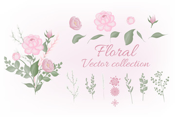 Set of floral elements. Pink flower ,green leaves. garden plants. Set: leaves flowers, branches, herbs and other natural elements. Wedding concept. Floral poster, invite.