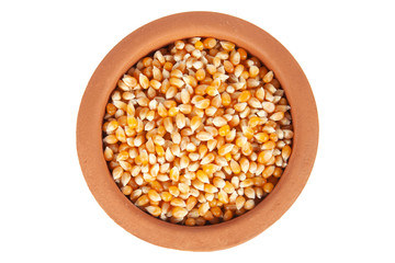 corn seeds in the plate