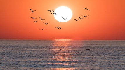 Obrazy na Szkle  Wschód słońca nad morzem