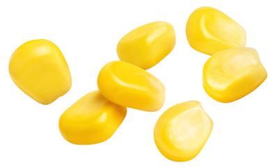 Flying delicious corn seeds, isolated on white background