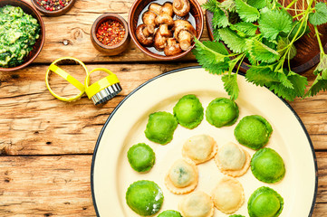 Ravioli with nettle.