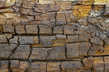 Texture of old ruined board closeup