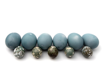 a number of chicken and quail eggs colored blue with red cabbage