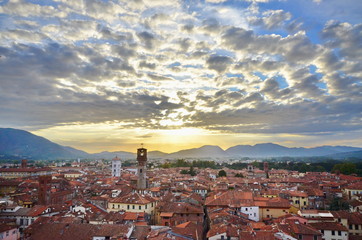 
panoramic view of lucca downtown in Tuscany Italy - obrazy, fototapety, plakaty