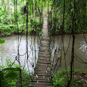 Fototapeta Hanging wooden bridge in the jungle of Bali, Indonesia.