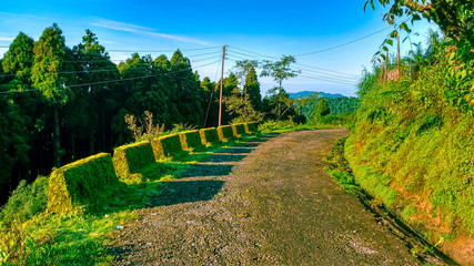 The road on hills