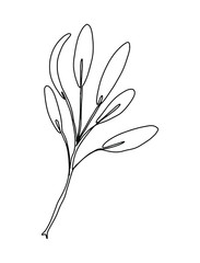Outlined illustration of an olive branch