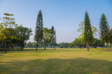 The open grassland landscape of the park