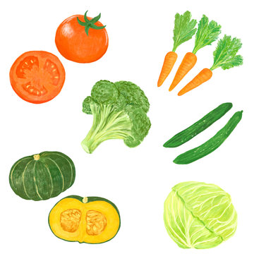 色とりどりの野菜