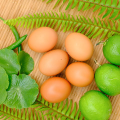 Close-up view of raw chicken eggs, Lime and Indian pennywort with green fern leaf on background
