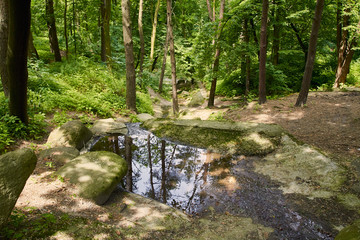 Obraz premium Park landscape with beautiful greenery and water