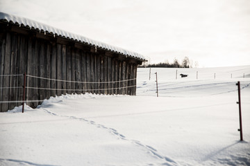 old barn in winter