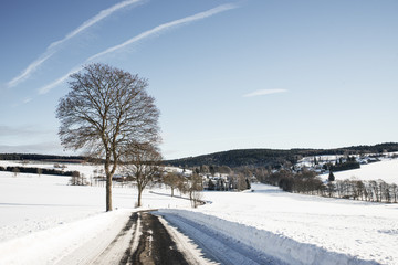 winter landscape with snow covered trees