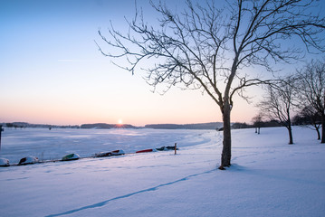 winter in the park