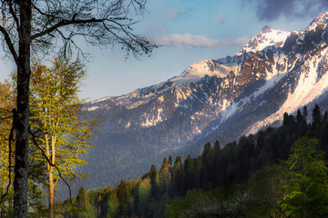 Beautiful snow-capped mountains against the blue sky in Sochi, Krasnodar territory, Krasnaya...