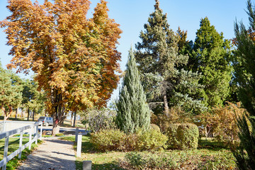 Grey tile walkway or Pathway in a well-kept South Park with green and yellow trees at a summer or autumn day