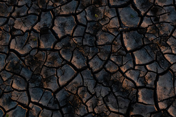 Texture of the dry earth