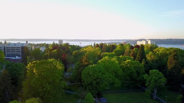 Flying over the beautiful green landscape of the Wright Park in Washington during spring - aerial