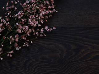 Spring flowers on dark wooden background, top view, border 8 march mother's day woman's day greeting card with copyspace