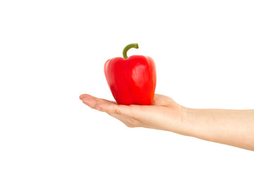 Pimiento rojo sobre la palma de la mano de una mujer sobre fondo blanco aislado. Vista de frente. Copy space