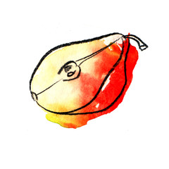 half green yellow red juicy bright pear watercolor