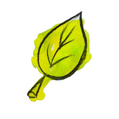 juicy green bright leaf of fruit tree