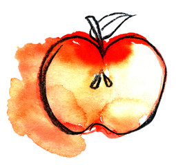 cut ripe red apple with leaf watercolor