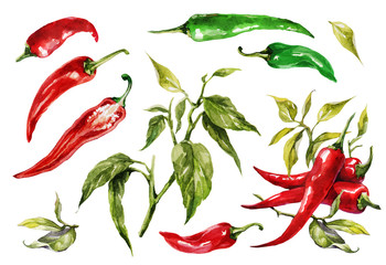 Red hot chilli peppers set. Hand drawing watercolor. Can be used for postcards, stickers, encyclopedias, menus, ingredients of dishes. - obrazy, fototapety, plakaty
