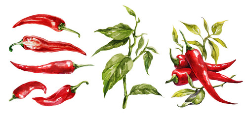 Red hot chilli peppers set. Hand drawing watercolor. Can be used for postcards, stickers, encyclopedias, menus, ingredients of dishes.