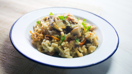 Italian Risotto with mushrooms and zucchini and artichokes