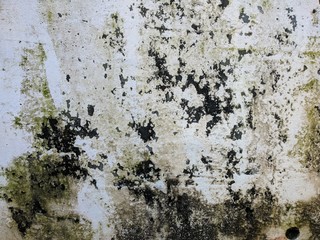 Abstract texture of old cement wall that has been peeled off of paint. good for background or wallpaper