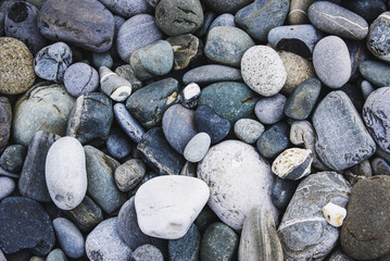 Texture of gray coarse pebbles of round and oval shape. Round and oval sea stones.