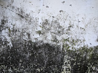 Abstract texture of old cement wall that has been peeled off of paint. good for background or wallpaper