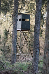 Ein Hochsitz steht zwischen den Bäumen
