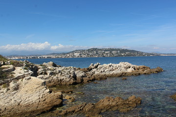 Fototapeta na wymiar côte de l'ile sainte margueritte