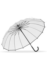 Subject shot of a large transparent umbrella with black border, black ribs and a black hook handle. The automatic umbrella is isolated on the white backdrop.  © RedUmbrella&Donkey