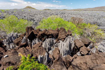 unique rock formations of fantastically eroded limestone spires, known as Tsingy in National Park...