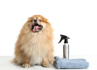 Cute dog with set for grooming on white background