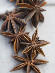Star anise spice fruits and seeds on light background closeup seasons for coffee and desserts