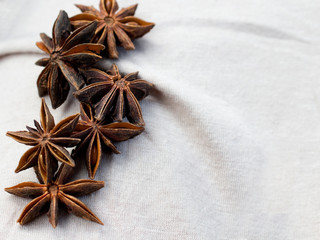 Star anise spice fruits and seeds on light background closeup seasons for coffee and desserts