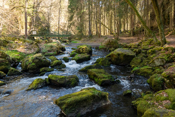 Fototapeta premium river or stream flowing strongly with white turbulence round green mossy rocks in close up in a concept of the natural environment and resources