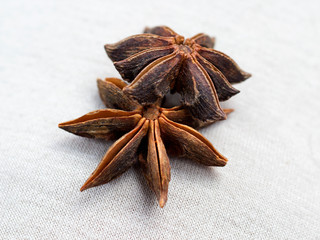 Star anise spice fruits and seeds on light background closeup seasons for coffee and desserts