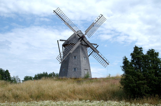 Old windmill a cloudy summer day. Beautiful windmill with daisy flowers in foreground. The swedish name of the mill is Riddareg&aring;rdens kvarn K&aring;llands&ouml;.