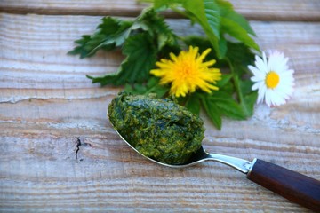 wildkräuterpesto