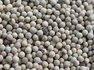 White pepper, seasons, flavour, spice, fragrant spice, texture, close up, macro