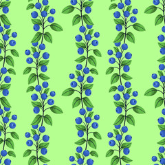 Vector seamless pattern with vertical blueberry branches on green background; berry design for fabric, wallpaper, wrapping paper, textile, package, web design.